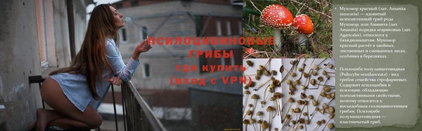 марки nbome Алзамай