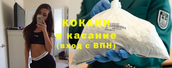 сатива Алексеевка
