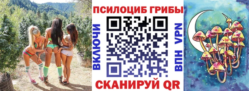 Галлюциногенные грибы Psilocybine cubensis  купить наркотики цена  Омутнинск 